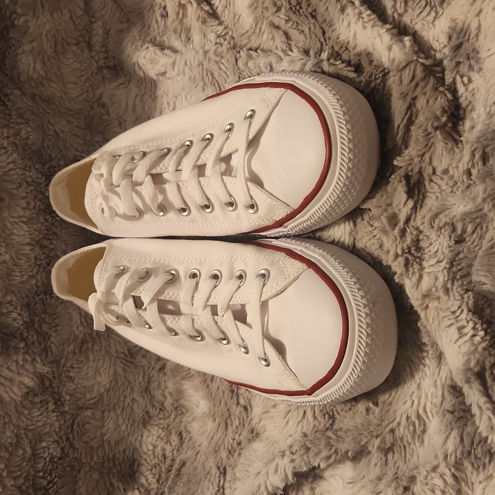 Converse Chuck Taylors Low Tops
